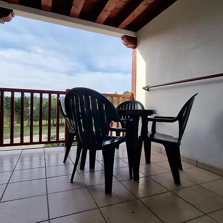 Avec Terrasse Piscine Ocean Golf アパート ビスカロッス