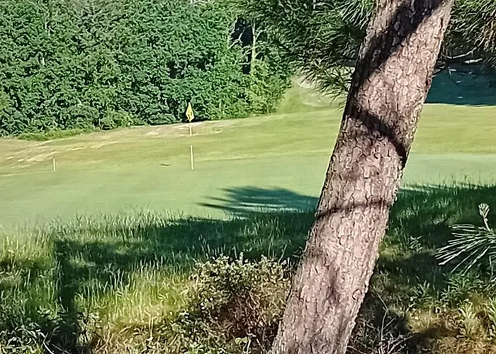 アパート Avec Terrasse Piscine Ocean Golf ビスカロッス